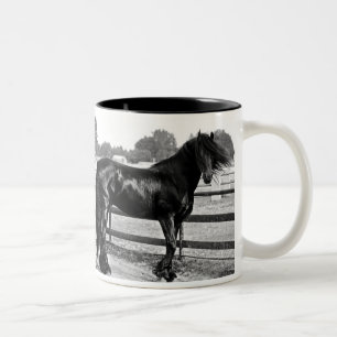 Taza Bicolor Modelado del caballo