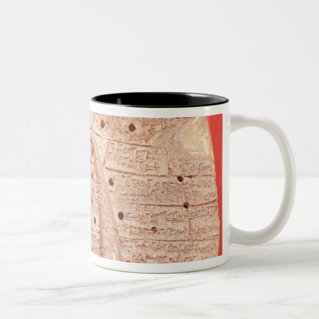 Taza Bicolor Modelo del hígado de una oveja (Derecha)