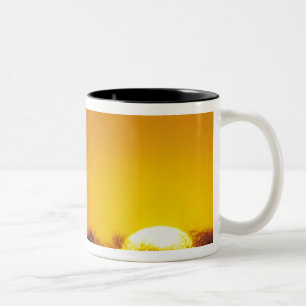 Taza Bicolor Molino de viento al atardecer, Sinton, Texas, EE.