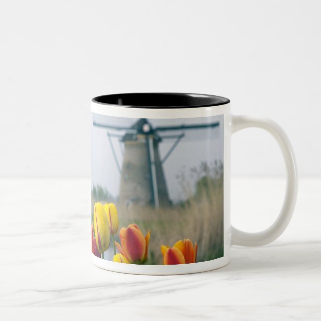Taza Bicolor Molinos de viento y tulipanes a lo largo del canal (Derecha)