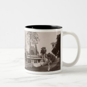 Taza Bicolor Monasterio y pagodas de Wayzayanda en Moulmein