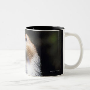 Taza Bicolor Mono de Patas