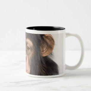 Taza Bicolor Mono que rasguña su cabeza