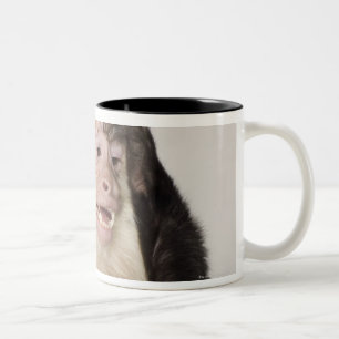 Taza Bicolor Mono que se rasguña