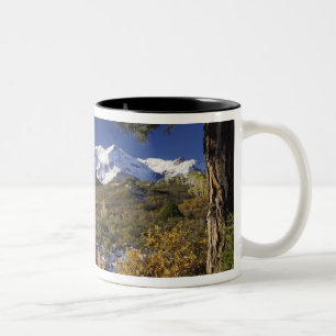 Taza Bicolor Montañas San Juan y árboles ápicos en color de 
