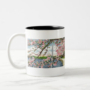 Taza Bicolor Monumento 2.tif de PAU45 Washington