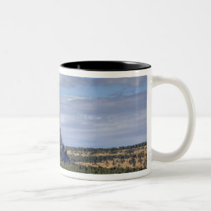 Taza Bicolor Monumento Nacional Devils Tower