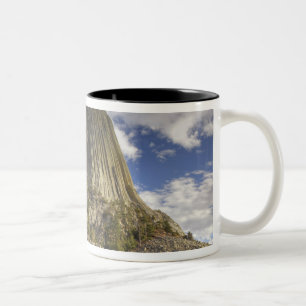 Taza Bicolor Monumento Nacional Devils Tower