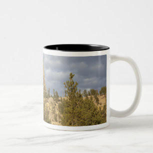 Taza Bicolor Monumento Nacional Devils Tower