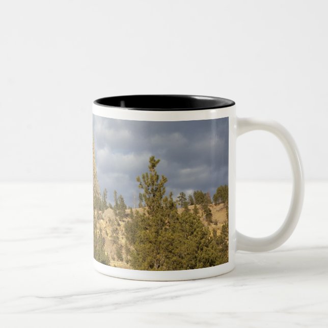Taza Bicolor Monumento Nacional Devils Tower (Derecha)