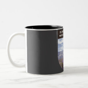Taza Bicolor Monumento Nacional Volcánico de Santa Elena