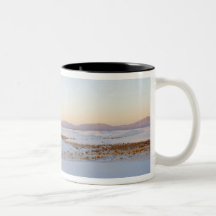 Taza Bicolor Monumento Nacional White Sands, Dunas Transversale