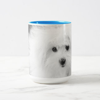 Taza Bicolor Morkie Mug