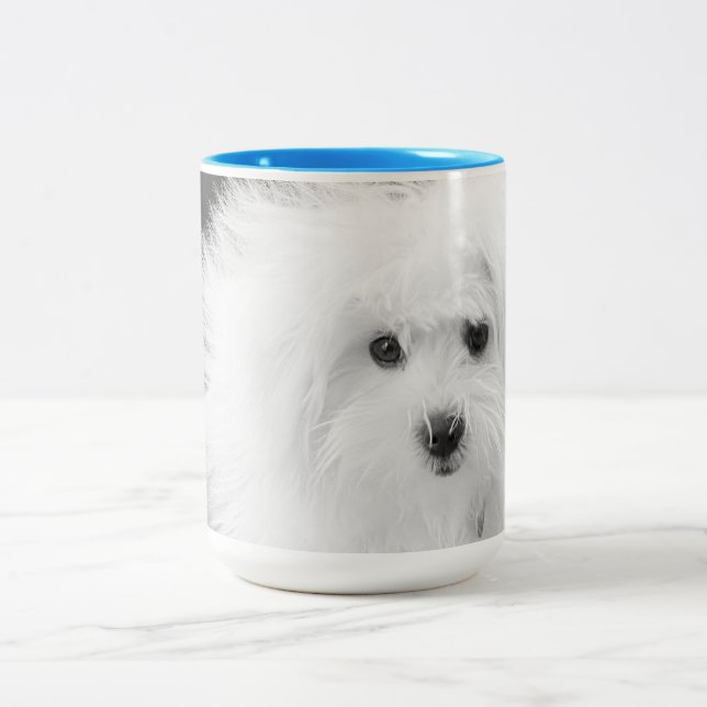 Taza Bicolor Morkie Mug (Centro)