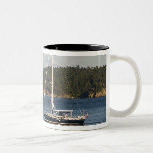 Taza Bicolor Mount Baker domina el paisaje