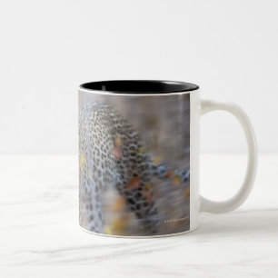 Taza Bicolor movimiento borroso