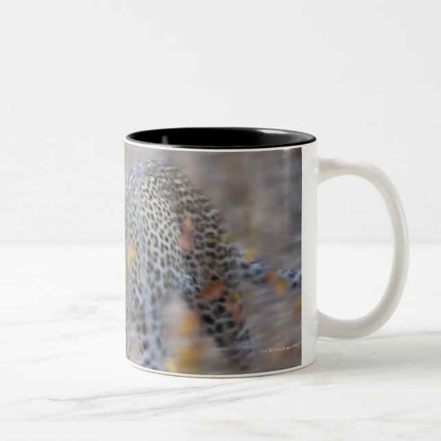 Taza Bicolor movimiento borroso (Derecha)