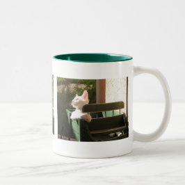 Taza Bicolor Muchas caras de Kiyoshi