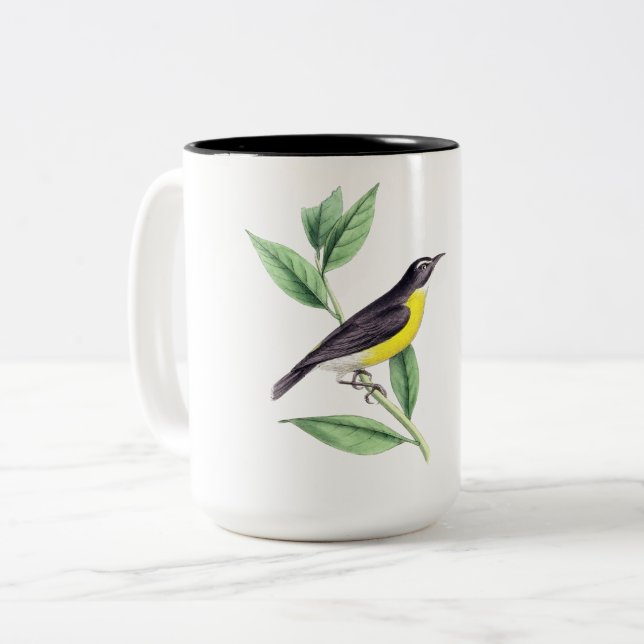 Taza Bicolor Muertes de aves (Anverso izquierdo)