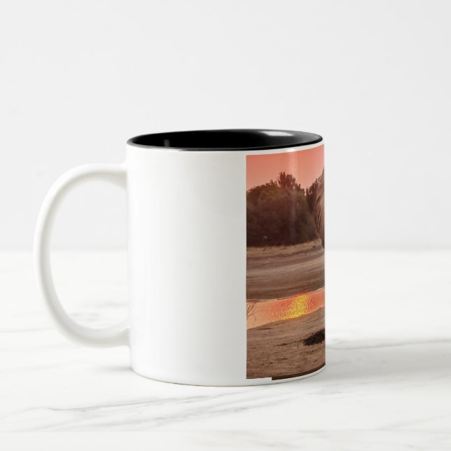 Taza Bicolor Mug (Izquierda)