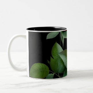Taza Bicolor Mug