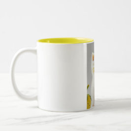 Taza Bicolor Mug