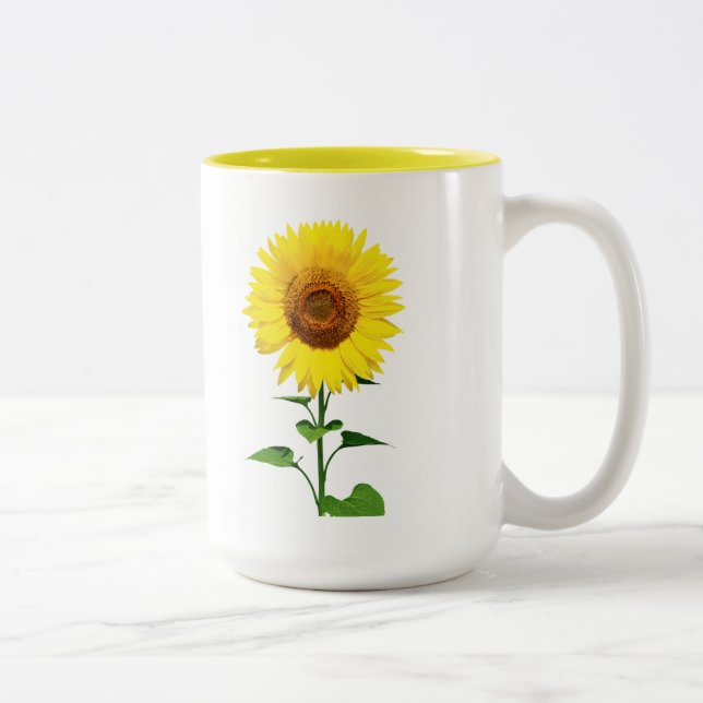 Taza Bicolor Mug (Derecha)