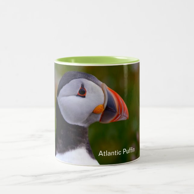 Taza Bicolor Mug (Centro)