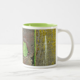 Taza Bicolor Mug - Alambre de madera con Moss