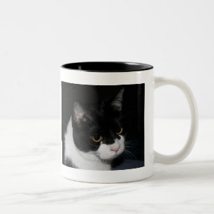 Taza Bicolor Mug De Dos Tonos De bonito Kitty