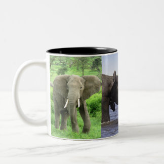Taza Bicolor Mug de elefantes africanos