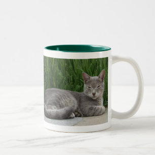 Taza Bicolor Mug de gato