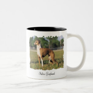 Taza Bicolor Mug de Greyhound