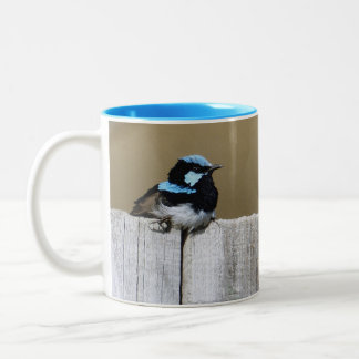 Taza Bicolor Mug de hadas azules