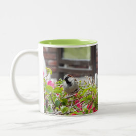 Taza Bicolor Mug de pájaro dulce