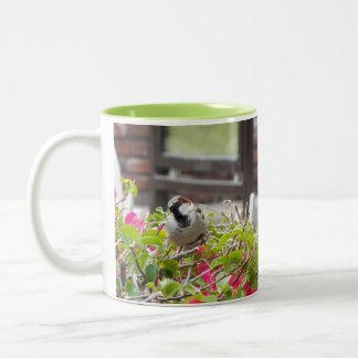Taza Bicolor Mug de pájaro dulce