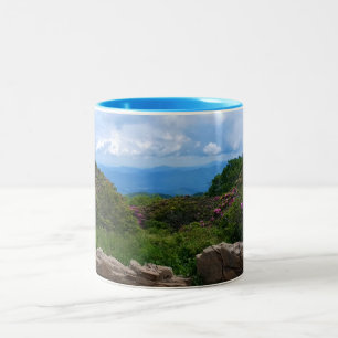 Taza Bicolor Mug de primavera de riego azul