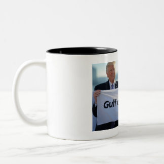 Taza Bicolor Mug del Golfo de América