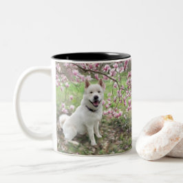 Taza Bicolor Mug - White Akita