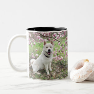 Taza Bicolor Mug - White Akita