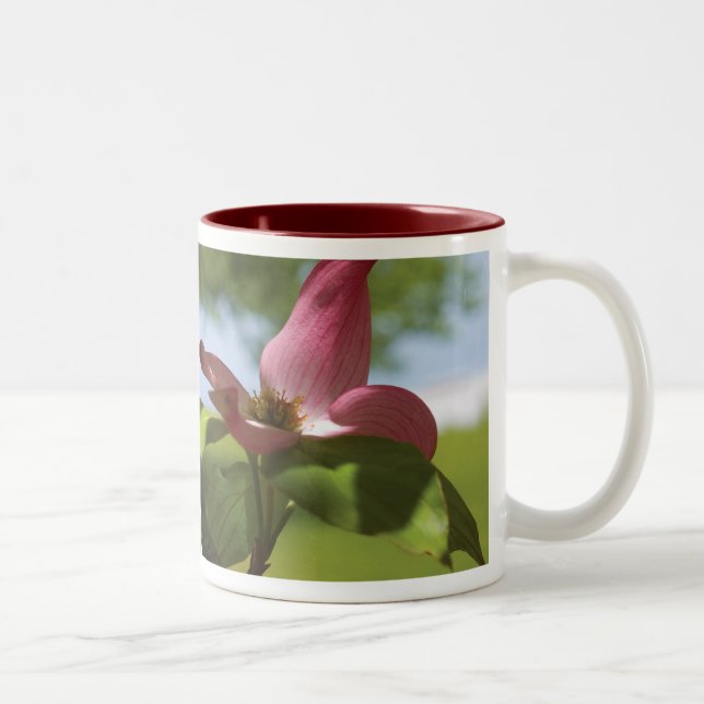 Taza Bicolor mugre de dogwood (Derecha)