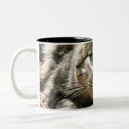 Taza Bicolor Mugre de dos tonos