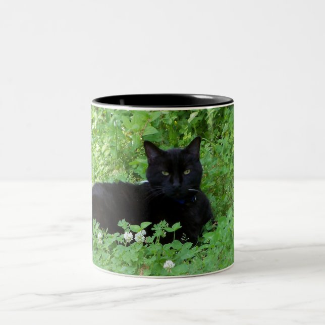 Taza Bicolor Mugre de gato negro (Centro)