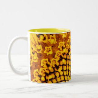 Taza Bicolor Mugre de girasol 1