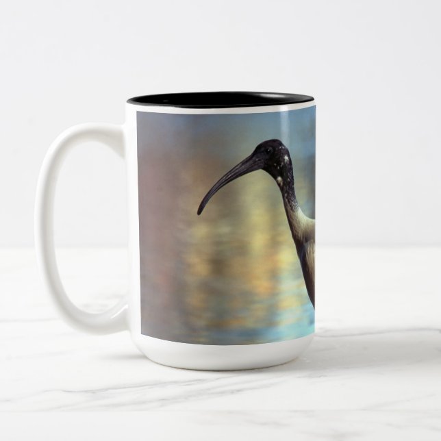 Taza Bicolor Mugre de pájaro (Izquierda)