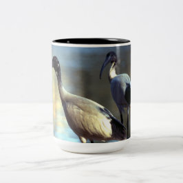 Taza Bicolor Mugre de pájaro