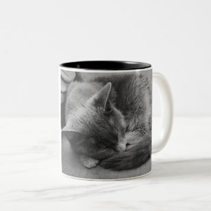 Taza Bicolor Mugre durmiente