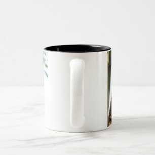 Taza Bicolor Mugs & Cups