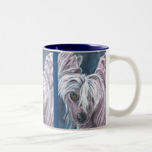 Taza Bicolor Mugs en reposo chinos