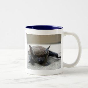 Taza Bicolor Murciélago marrón pequeño (Myotis lucifugus)